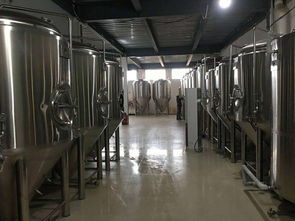 精釀啤酒設備全解析 從酒廠到酒吧，打造完美啤酒體驗